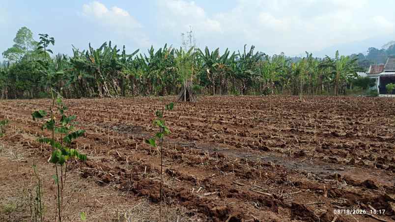 tanah siap bangun di raden gunawan hajimena 1600m shm