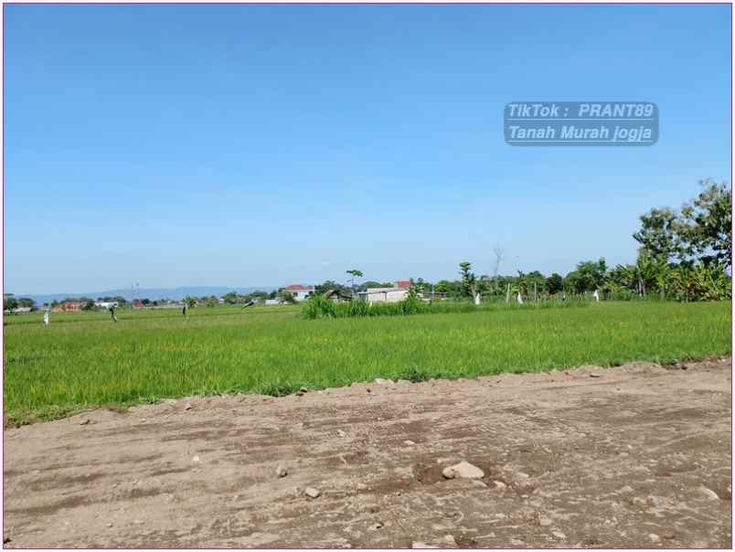 tanah sleman dijual di purwomartani