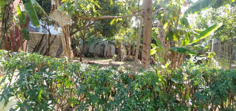 tanah strategis sejuk tengah kota salatiga