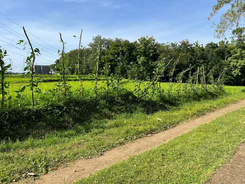 tanah subur 5360m view gunung lawu sragen
