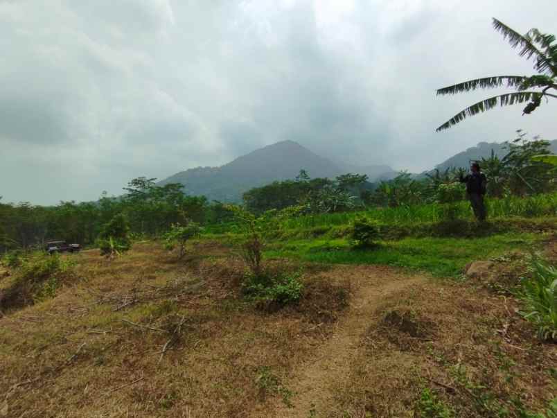 tanah tegalan murah view indah di seloliman trawas