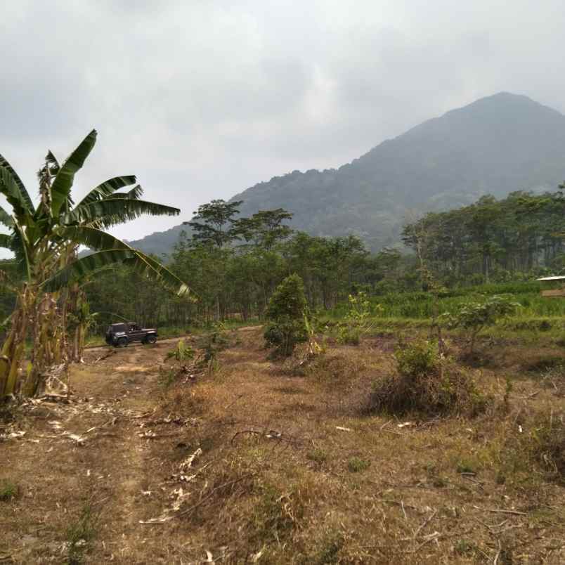 tanah tegalan murah view indah di seloliman trawas