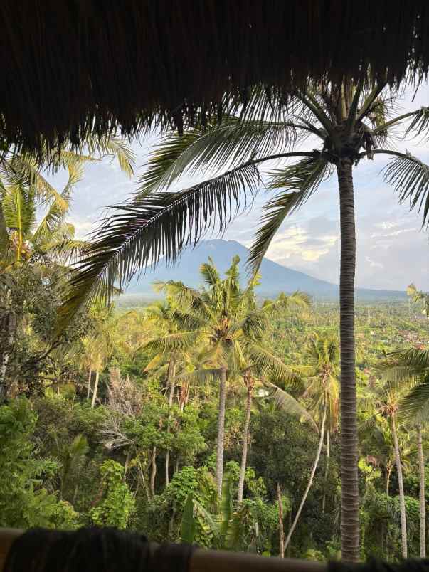 tanah view gunung dan sawah