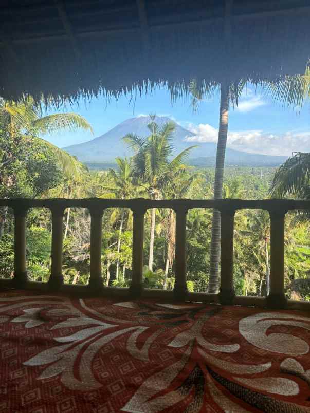 tanah view gunung dan sawah
