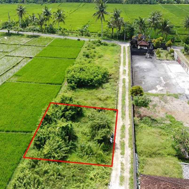 dijual 2 are jl mulioto buwit kediri tabanan