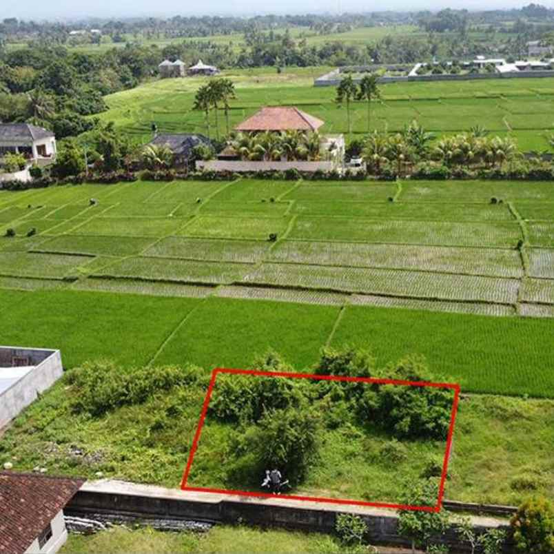 dijual 2 are jl mulioto buwit kediri tabanan
