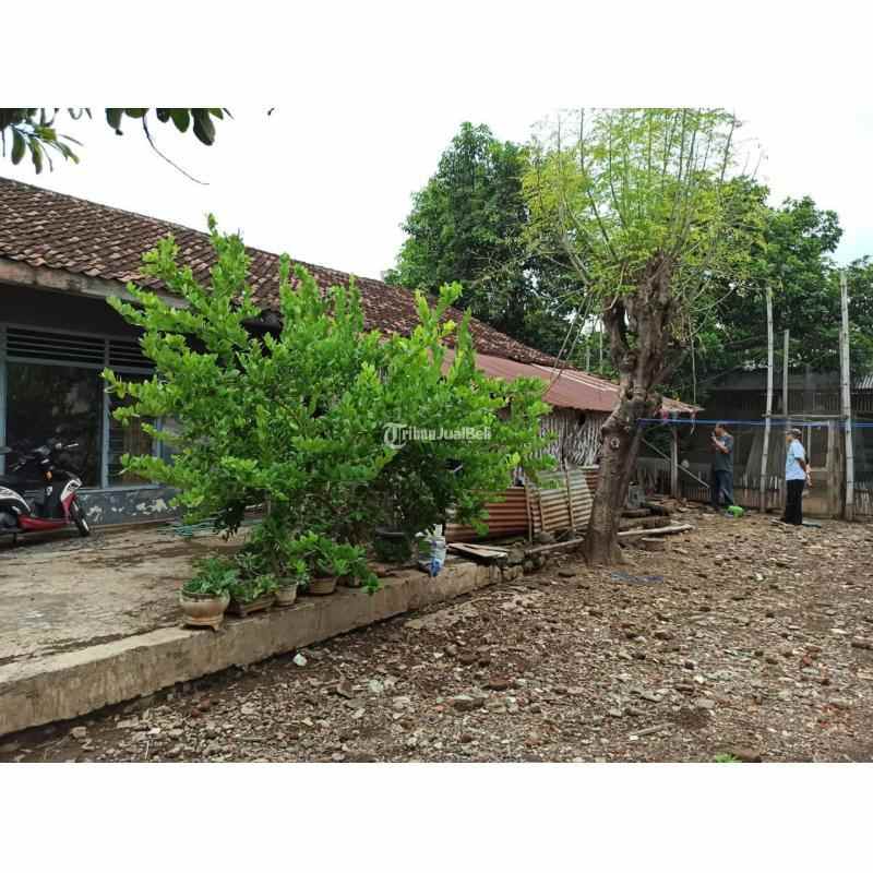 dijual cepat tanah bonus rumah di kota probolinggo