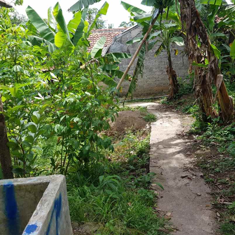 dijual cepat tanah murah 100m urgent bu