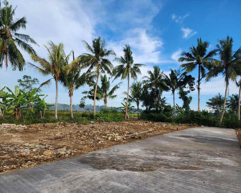 dijual kost jl kyai ronggo soropadan