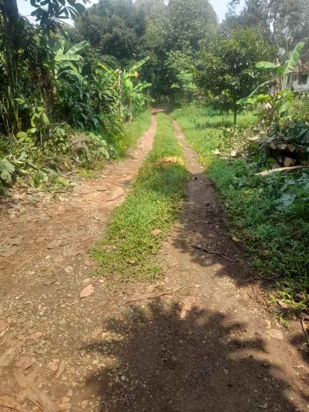 dijual lahan tanah 6 4 hektar di kabupaten bogor