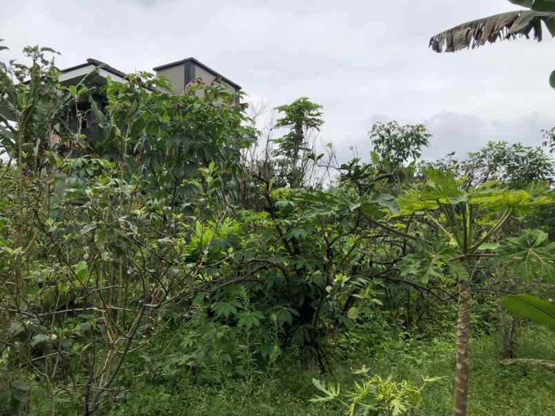 dijual rumah buniaji