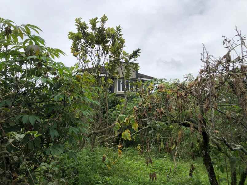 dijual rumah buniaji