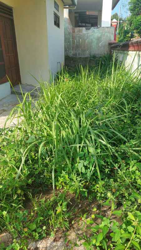 dijual rumah dijual rumah di jl turen