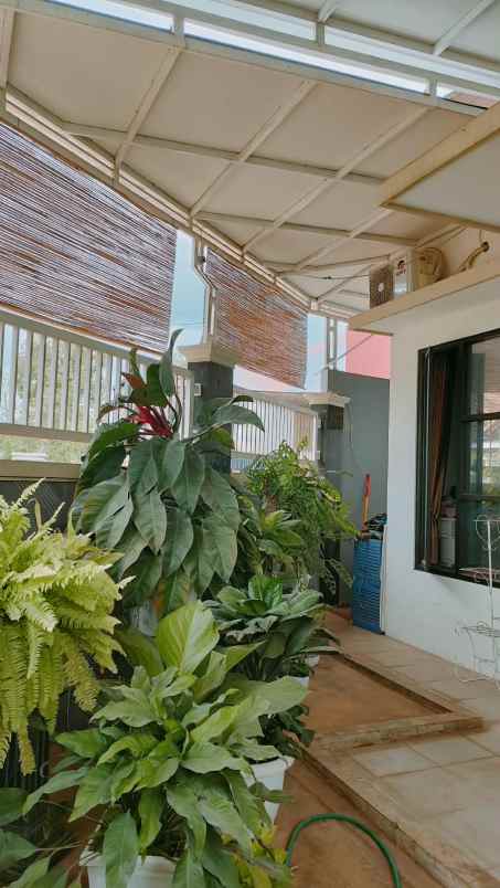 dijual rumah dijual rumah di jln makmur