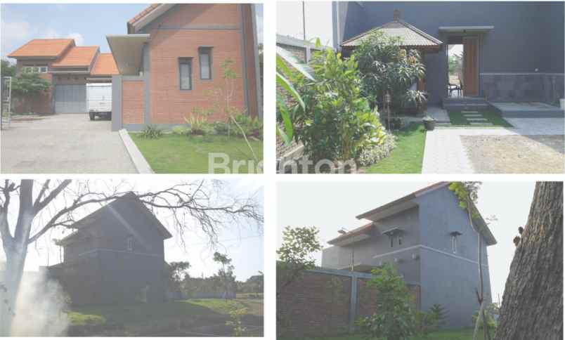 dijual rumah ds doro lampah