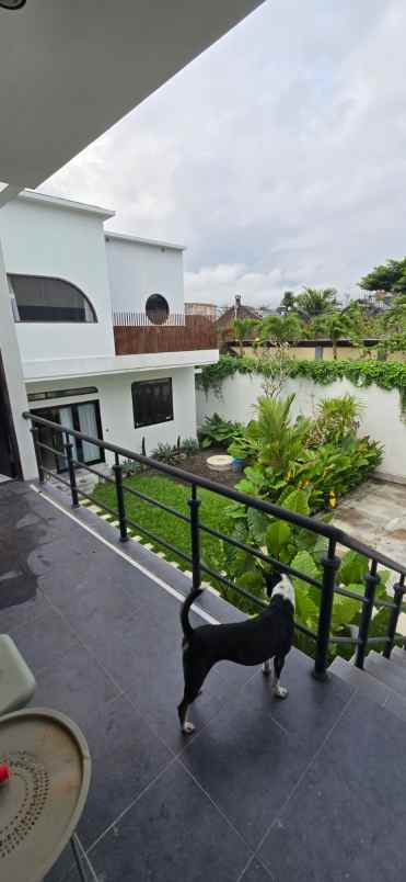 dijual rumah jalan umalas