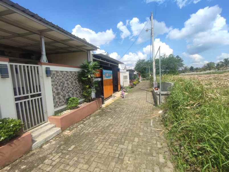 dijual rumah jamuran sukodadi malang
