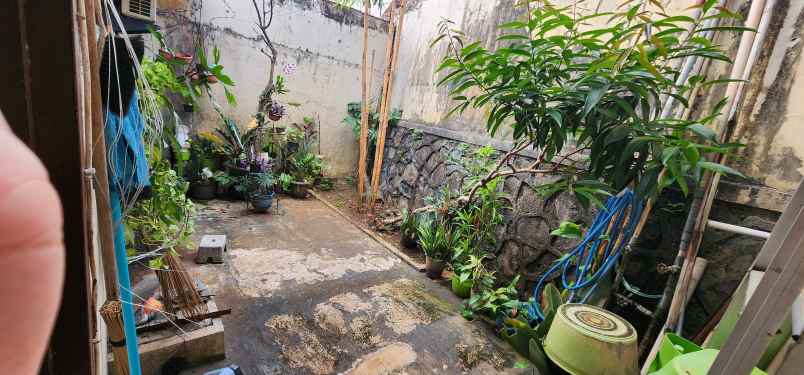 dijual rumah jl bangau
