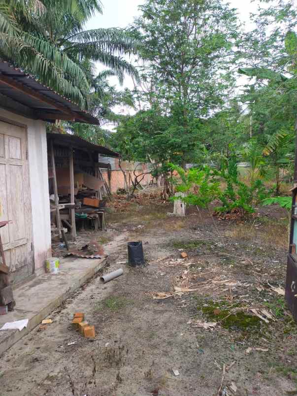 dijual rumah jl kenidai rt12 no90