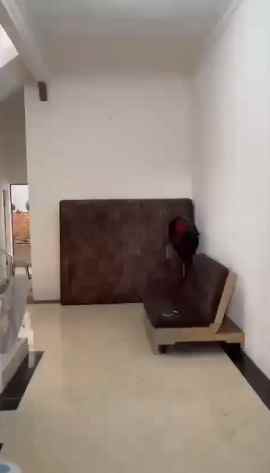 dijual rumah karang asem