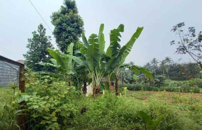 dijual rumah komplek batan indah kel