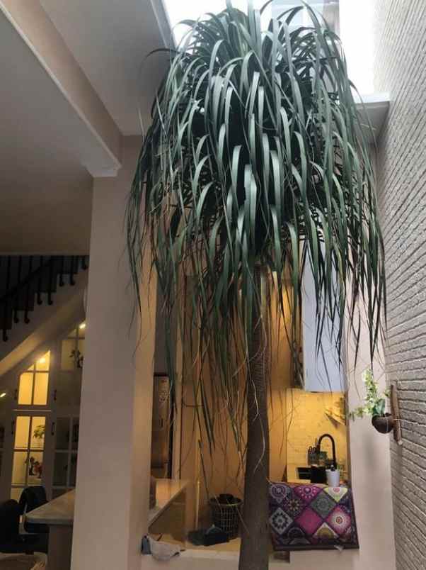 dijual rumah kotabaru parahyangan