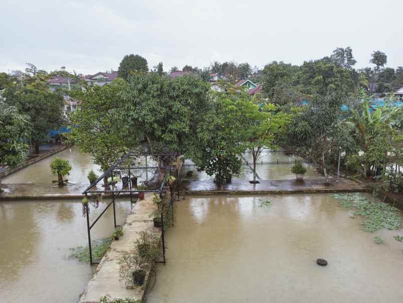 dijual rumah meewah parung bogor