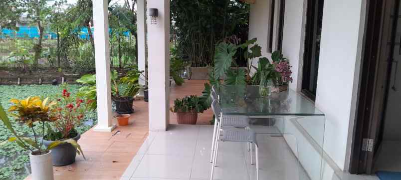 dijual rumah meewah parung bogor