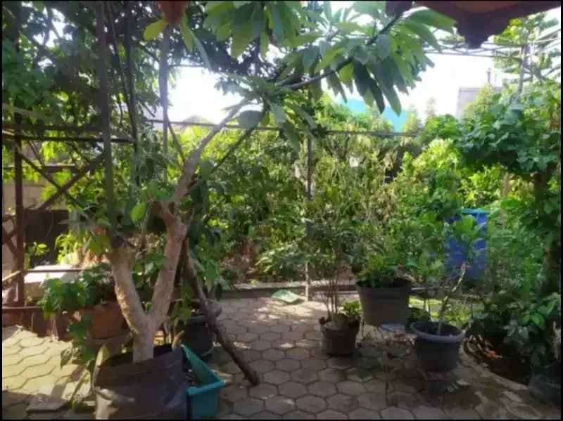 dijual rumah ulujami