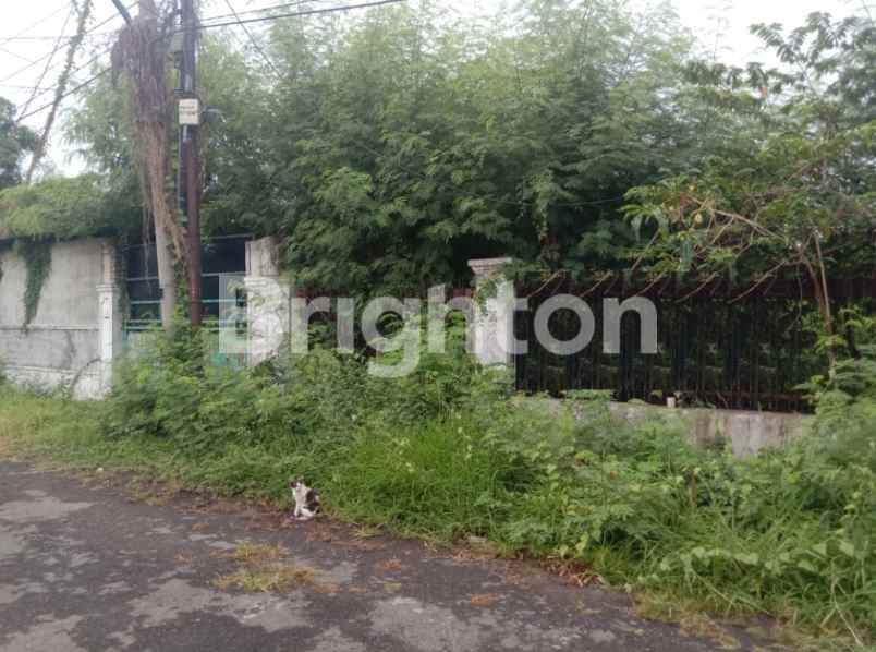 dijual tanah 481