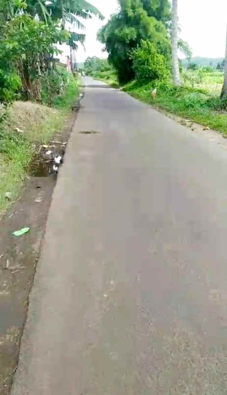 dijual tanah 50 hektar di kabupaten bogor