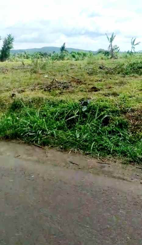 dijual tanah 50 hektar di kabupaten bogor