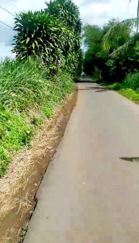 dijual tanah 50 hektar di kabupaten bogor