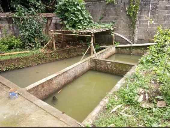 dijual tanah ada kolam ikan rancabungur bogor