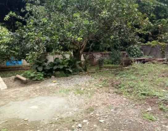 dijual tanah ada kolam ikan rancabungur bogor