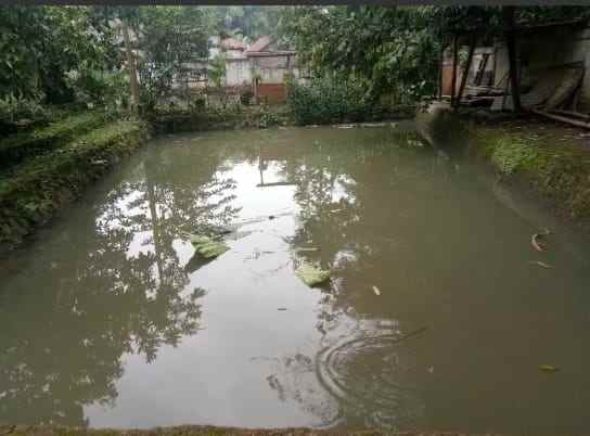 dijual tanah ada kolam ikan rancabungur bogor