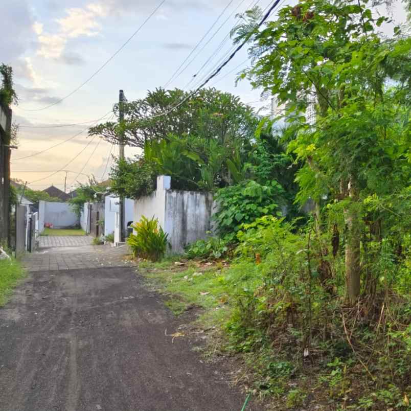 dijual tanah ayani utara