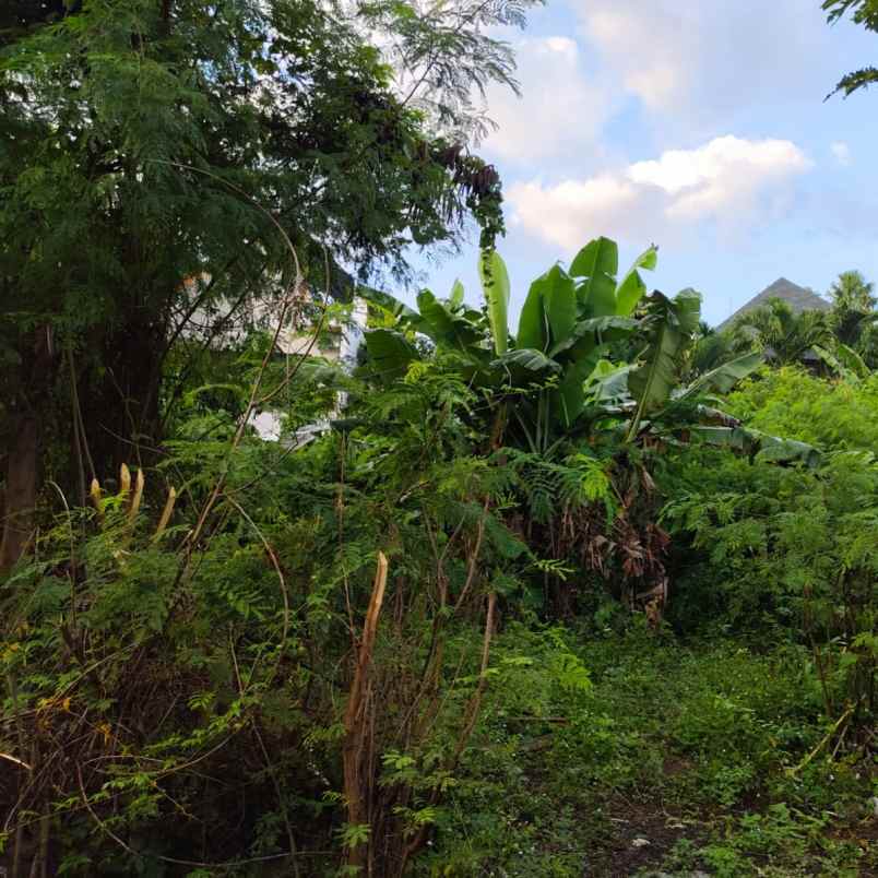 dijual tanah ayani utara