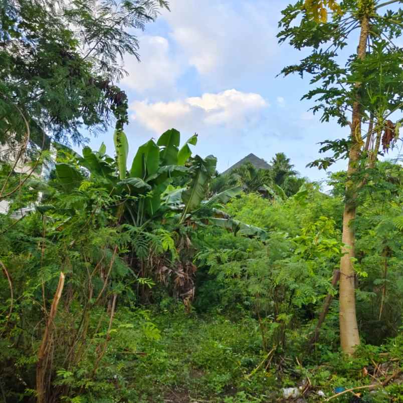 dijual tanah ayani utara