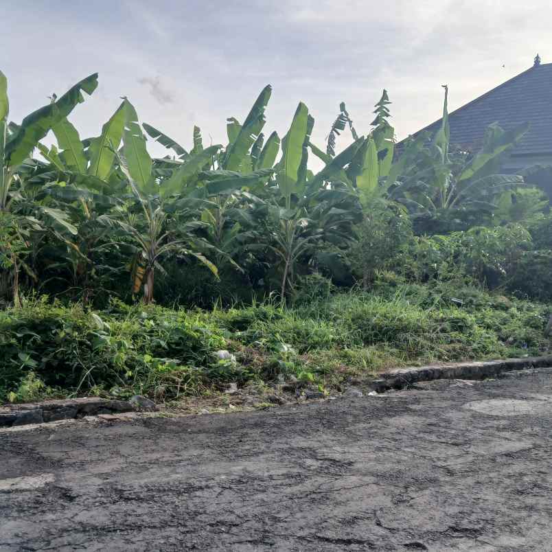 dijual tanah badak agung