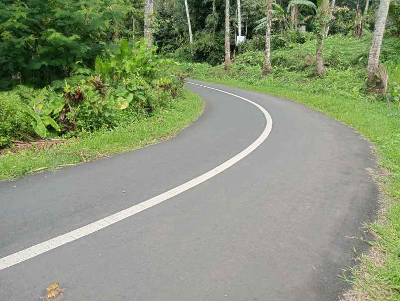 dijual tanah bajra utara kec selemadeg