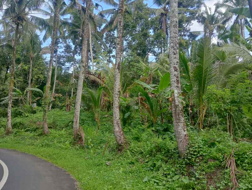 dijual tanah bajra utara kec selemadeg