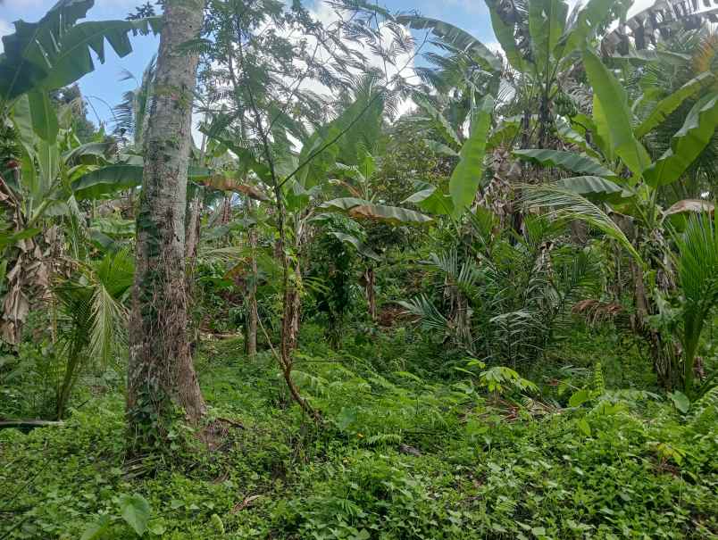 dijual tanah bajra utara kec selemadeg