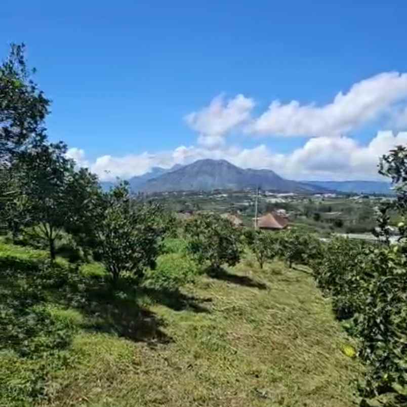 dijual tanah buluh indah