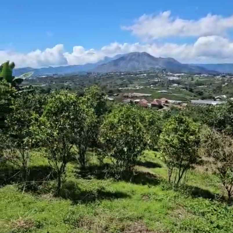 dijual tanah buluh indah