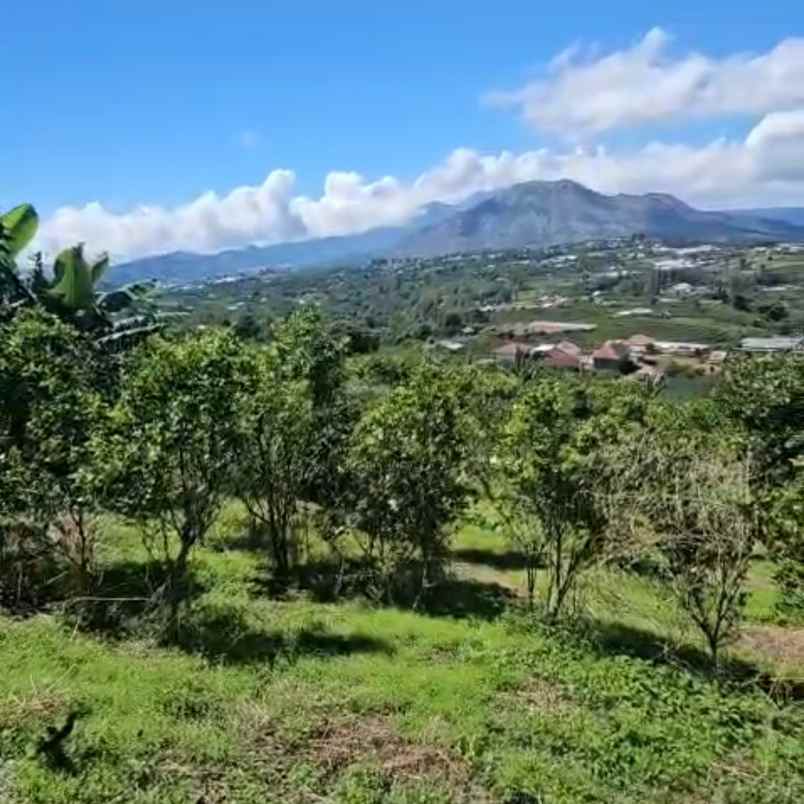 dijual tanah buluh indah