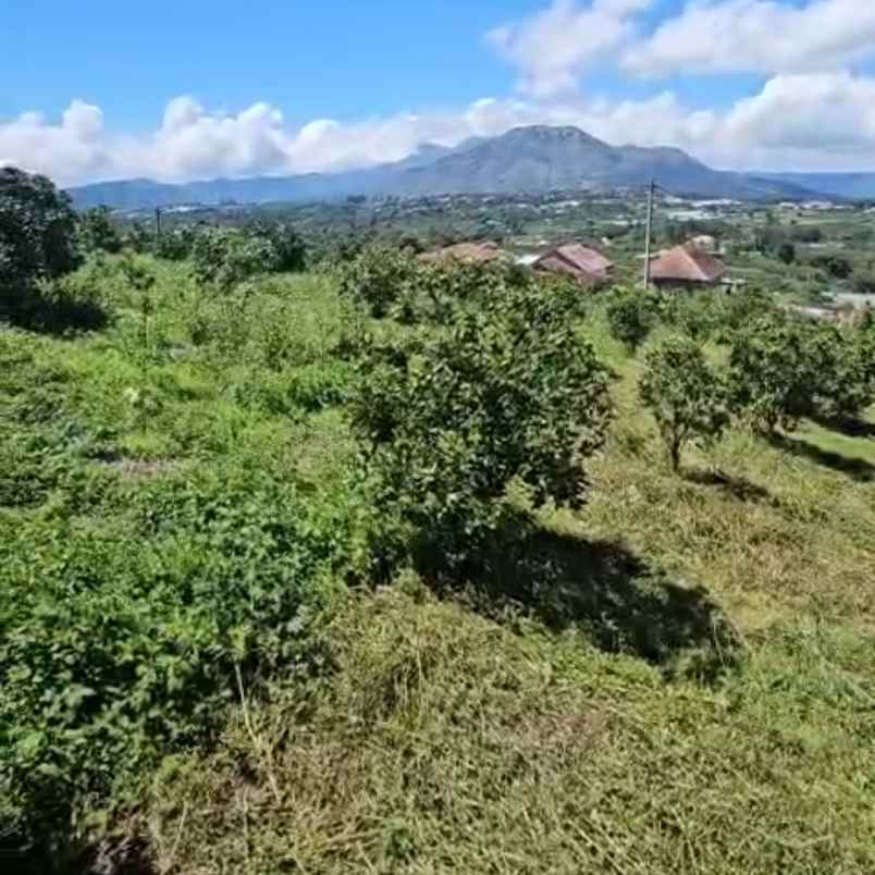 dijual tanah buluh indah