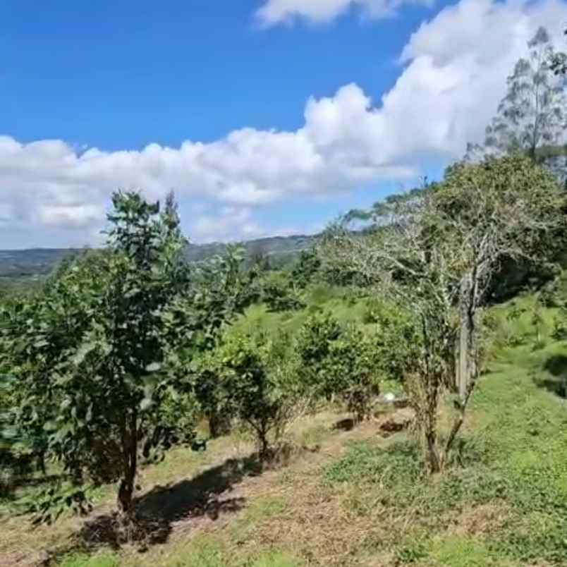 dijual tanah buluh indah