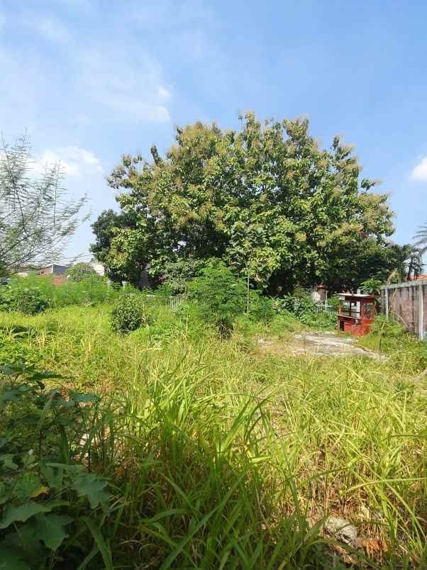 dijual tanah cipayung jakarta timur