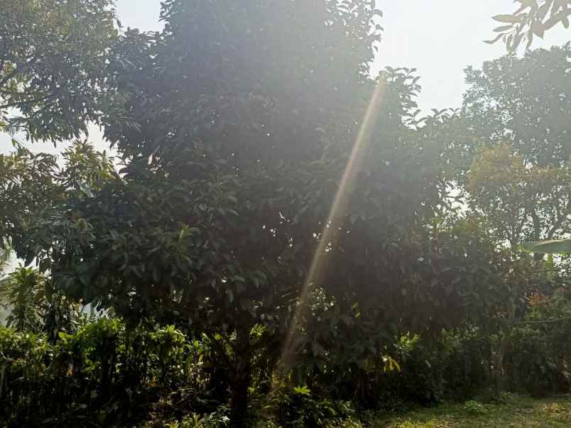 dijual tanah ciracas kiarapedes
